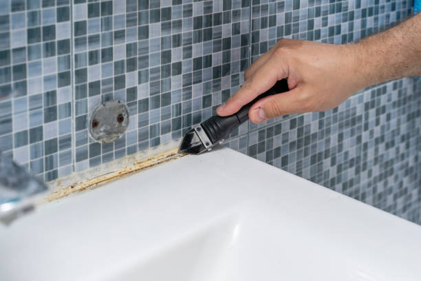 Professional Mold Remediation in Lugoff, SC